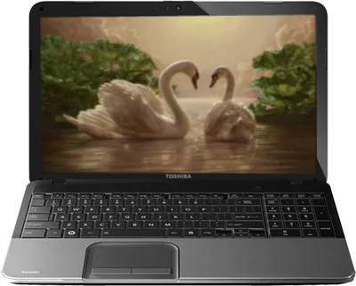 Toshiba Satellite C850-X5213 Laptop (3rd Gen Ci5/ 2GB/ 500GB/ Win7 HB)