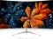 Zebion Crista 32 inch Full HD Curved Monitor