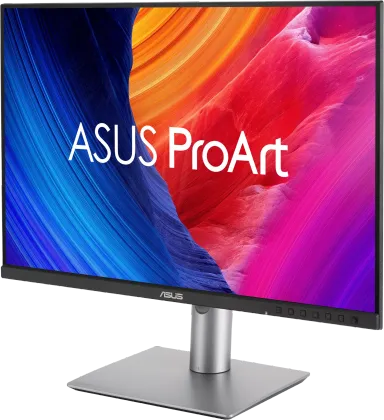 Asus ProArt PA248QFV 24.1 Inch WUXGA Monitor