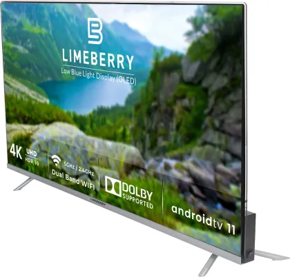 Limeberry LB55OU11SSPS5GV 55 inch Ultra HD 4K OLED TV