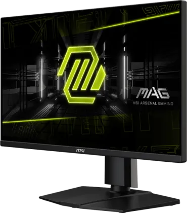 MSI MAG 255PXF 25 inch Full HD Gaming Monitor