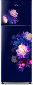 Godrej RT EONALPHA 270BN RI BA BL 238 L 2 Star Double Door Refrigerator