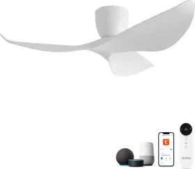Oltao TheoDora 52 inch 3 Blade BLDC Ceiling Fan