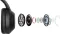 Sony WH-1000XM4 Wireless Headphones