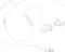 Samsung EO-IC100 Type-C Wired Earphones