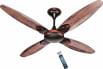 Activa Lotus 1200 mm 4 Blade BLDC Ceiling Fan