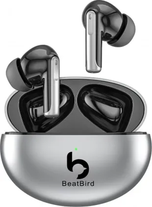 BeatBird Airbird XY70 True Wireless Earbuds