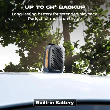 Zebronics Zeb Clipper Pro 4W Bluetooth Speaker