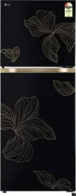 LG GL-N252YROY 225 L 2 Star Double Door Refrigerator