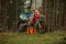 KTM 350 EXC-F Six Days