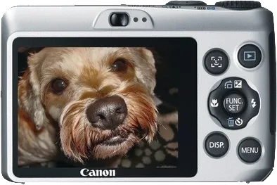 Canon PowerShot A1200 Point & Shoot