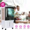 Casa Copenhagen Lion 40 L Personal Air Cooler