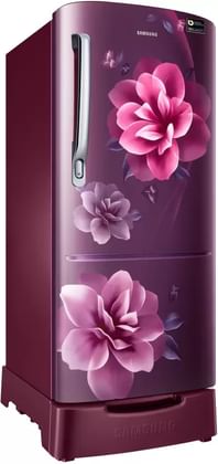 Samsung RR20R282ZCR/NL 192 L 3-Star Direct Cool Single Door Refrigerator