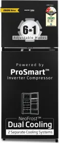 Voltas Beko RFF334C/2WPV100RXBD 283 L 2 Star Double Door Refrigerator