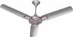 Singer Glaze Deco 1200 mm 3 Blade Ceiling Fan