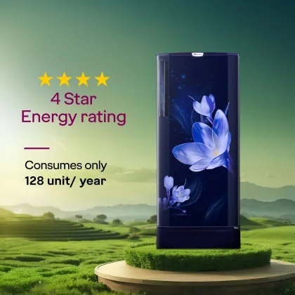 Godrej RD 195DN TAI MN BL 185 L 4 Star Single Door Refrigerator
