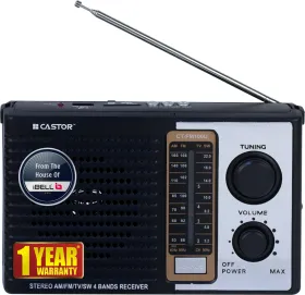 iBELL Castor CTFM100U FM Radio