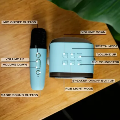 Fire Turtle ‎K12 Karaoke 10W Bluetooth Speaker