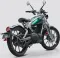 Royal Enfield Flying Flea C6
