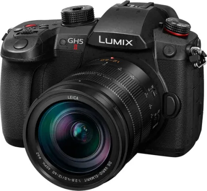 Panasonic Lumix GH5 II Mirrorless Camera (Leica Vario- Elmarit 12-60mm F2.8-4.0 Lens)