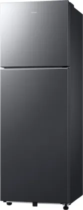 Samsung RT40H30U2K 256 L 2 Star Double Door Refrigerator