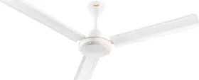 Indo Pace 1200 mm 3 Blade Ceiling Fan