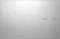 Asus VivoBook 15 X1500EA-EJ3379WS Laptop (11th Gen Core i3/ 8GB/ 512GB SSD/ Win11)