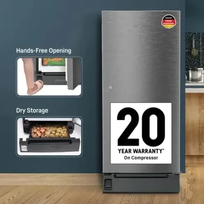 Liebherr DFPsiC 2021 202 L 3 Star Single Door Refrigerator