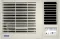 Blue Star WFE309L 0.8 Ton 3 Star 2025 Window AC