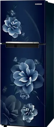 Samsung RT28C3022CU 236 L 2 Star Double Door Refrigerator