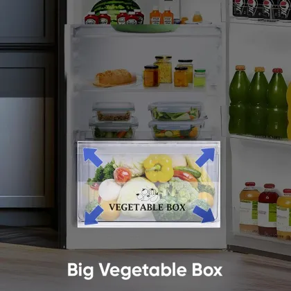 Sharp SJ-FF305V2-GKG 265 L 2 Star Double Door Refrigerator