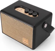 Deciwood Unplugged 35W Bluetooth Speaker