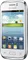Samsung Galaxy Young S6310