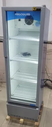 Frigoglass VG200 193 L Single Glass Door Visi Cooler