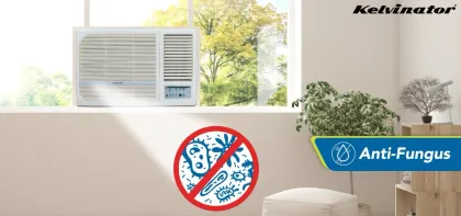 Kelvinator KAW-F183PMSY5 1.5 Ton 3 Star 2025 Window AC