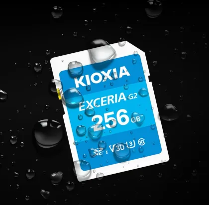 Kioxia Exceria G2 256GB SDXC UHS-I Memory Card - image 4
