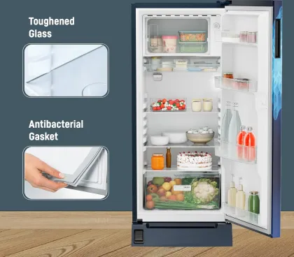 Liebherr DFPlmE 2031 202 L 5 Star Single Door Refrigerator