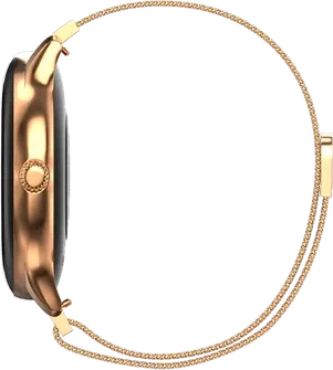 Fire Boltt Phoenix AMOLED Ultra Ace Smartwatch