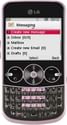 LG GW300