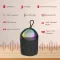 pTron Fusion Mount V2 12W Bluetooth Speaker