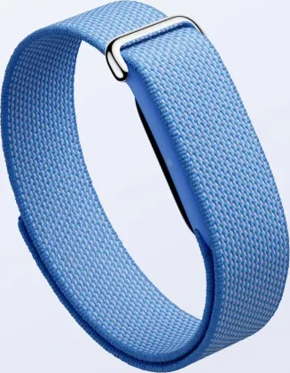 Google Fitbit Air