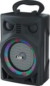 MZ M301 10W Bluetooth Speaker