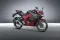 Suzuki Gixxer SF 250 Flex Fuel