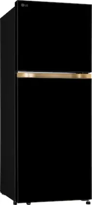 LG GL-S252ZOBY 225 L 2 Star Double Door Refrigerator