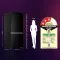 Haier HRB-600EK 520 L 3 Star French Door Refrigerator (Vouge Lumiere)