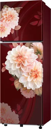 Samsung RT40H30U2BR 256 L 2 Star Double Door Refrigerator