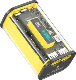 Amazon Basics ABPB10W2 10000 mAh Power Bank