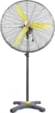 Havai 36 inch 3 Blade BLDC Pedestal Fan