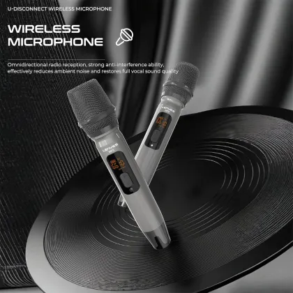 Lenyes S873 400W Bluetooth Speaker