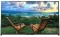 Sony KDL-43W950D 43 inch Full HD Smart LED TV